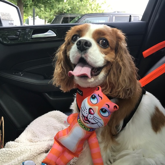 Meet your Posher, Kim! - Picture 2 of 5